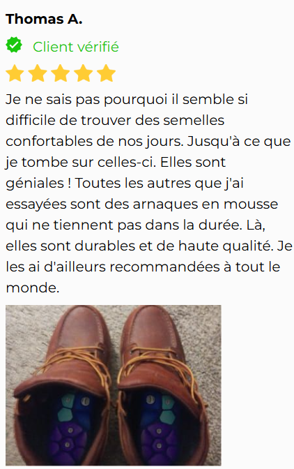 Avis-2 (1)