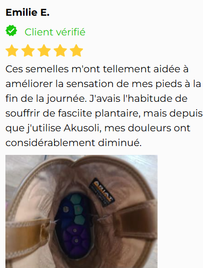 Avis-3